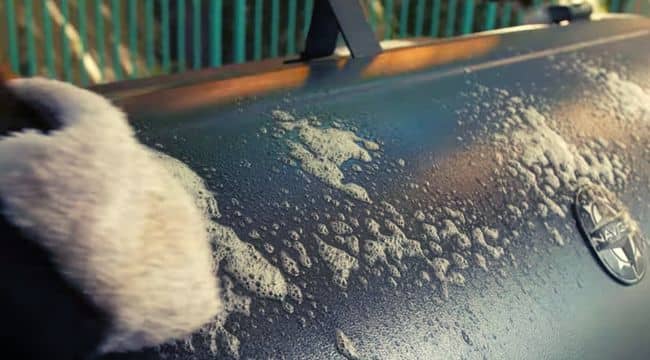 pit boss exterior cleaning
